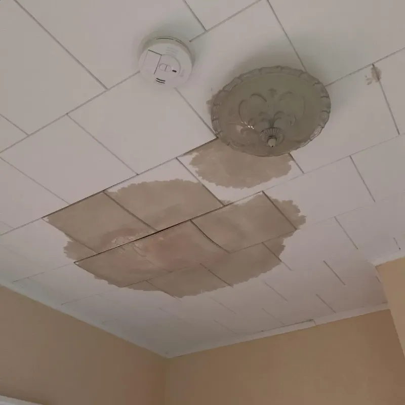 Ceiling Water Damage Repair in Warsaw, NY