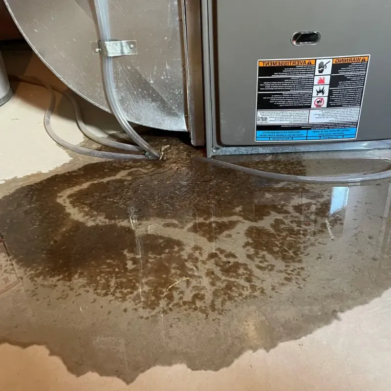 Pipe Burst and Leak Restoration in Warsaw, NY