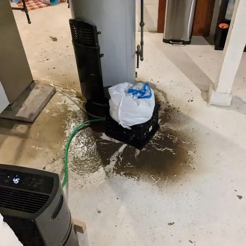 Sewage Backup Cleanup Service in Warsaw, NY
